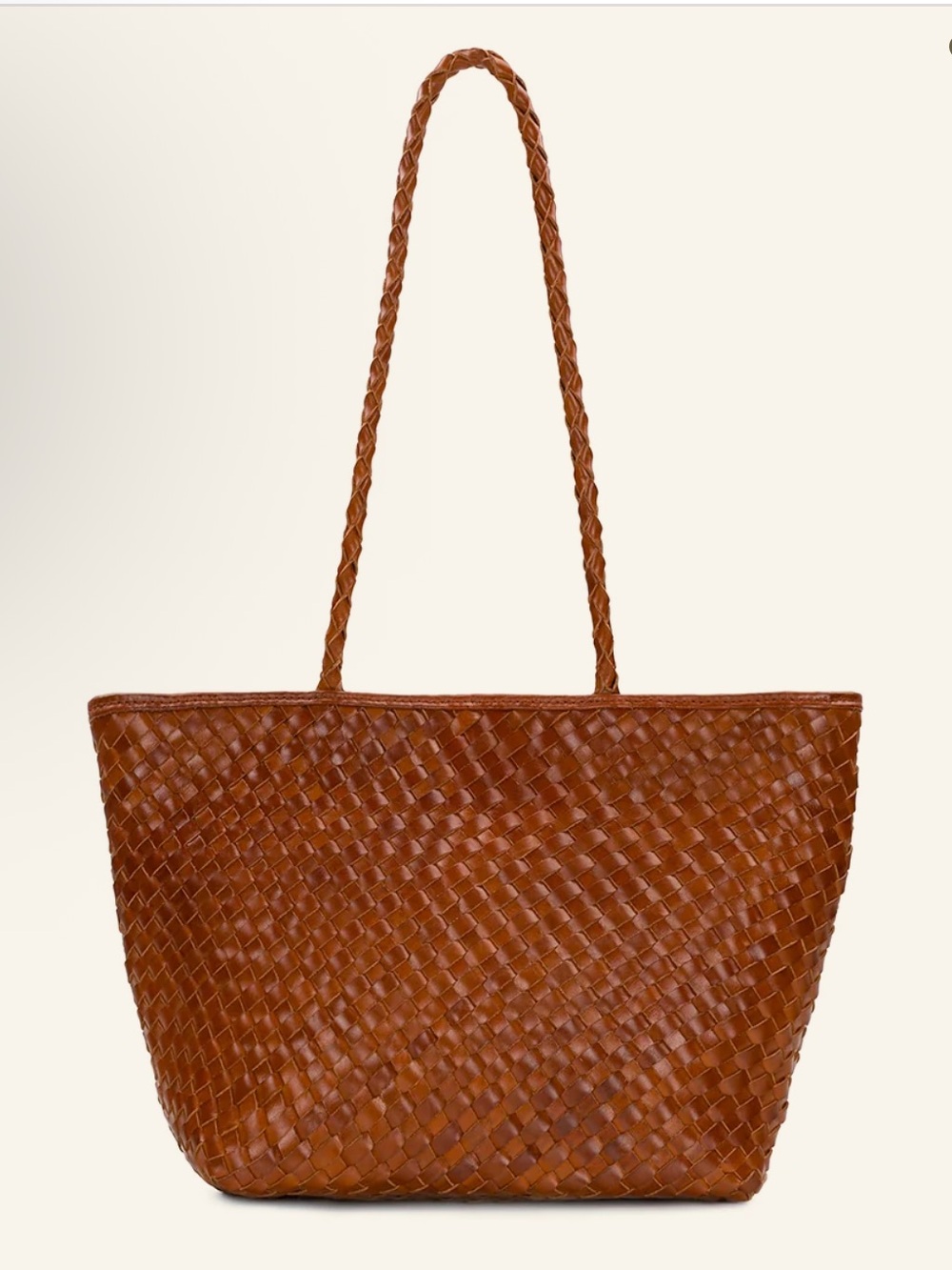 Patricia Nash Olivia Satchel Tote